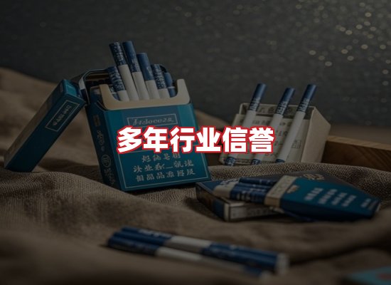 专业团队